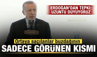 Başkan Erdoğan’dan tepki: Ortaya saçılanlar buzdağının sadece görünen kısmı…