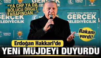 Cumhurbaşkanı Erdoğan’dan Hakkari’ye doğal gaz müjdesi! CHP’ye de sert tepki